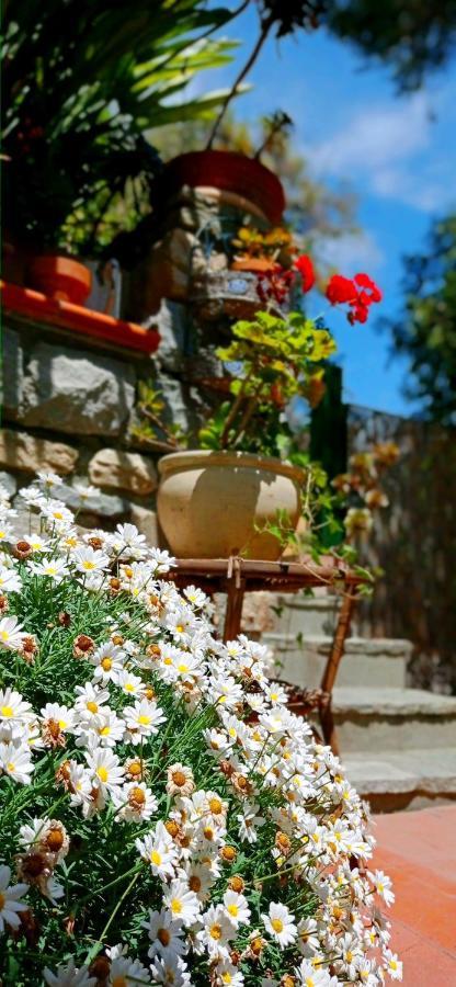 La Casetta Holiday home
