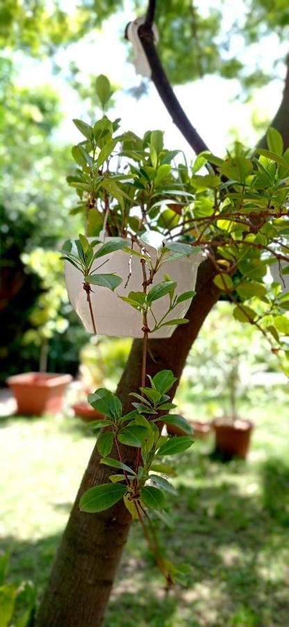 La Casetta Holiday home Mortola Inferiore