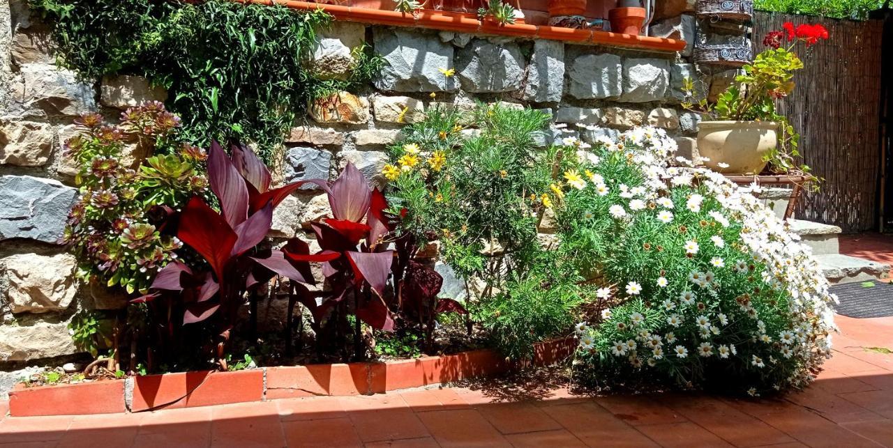 Ferienhaus La Casetta *